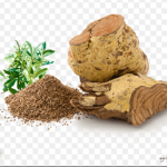 サラシアの根と粉末とコップ