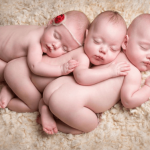 羊毛の上で3人の赤ちゃんがくっついて寝ている